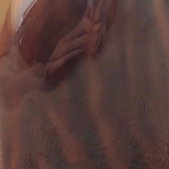 J BEAUMONT BROWN GLAZED CAT FIGURE,signed,maryland - Picture 5 of 6